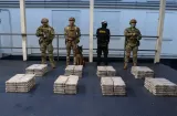 Senan decomisa cargamento de droga en un contenedor procedente de EE.UU.