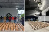 Decomisan 785 paquetes en droga en 24 de Diciembre y 530 en Colón