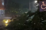 Fuertes lluvias y ventolina provocan estragos en la ciudad capital