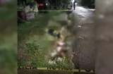 Ejecutan hombre a tiros en Las Alvinas