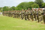 Despliegan más de 500 unidades para reforzar frontera con Colombia