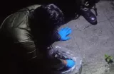 Patrullaje nocturno salva 882 huevos de tortuga lora en Isla Cañas