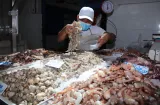 Productos del mar panameños generan $101.6 millones en exportaciones