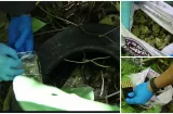 Dejan sin suministros a delincuentes en Nueva Providencia 