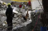 Sube a 265 la cifra de víctimas por terremoto y decretan emergencia económica