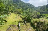 ¡Frenan invasión! Tumban cerca ilegal en cerro Gaital, Coclé