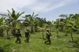 Clan del Golfo que Panamá quiere apoderarse de la Selva del Darién