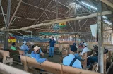 Impulsan proyecto de multiplicación de semillas en la Comarca Guna Yala