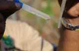 Dengue ya deja 16 muertos y 5,318 casos en Panamá. Estrategias no funcionan 