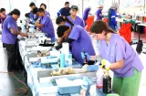 Cientos de perros y gatos pasan por el quirófano en jornada de esterilización
