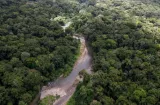 ¡El Clan del Golfo domina la minería ilegal del Darién!