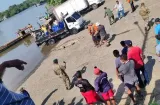 Enorme cocodrilo sorprende a pescadores en Puerto Coquira, Chepo