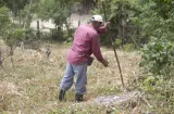 Honduras entra en alerta roja en 75 municipios tras brutal sequía por El Niño