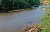 Piden frenar concesión de agua del río Chico para proyecto lechero