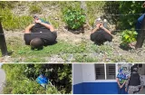 Persecución en Coclecito: negocio de oro terminó en choque y captura