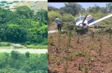 ¡Susto en Albrook! Avioneta se sale de pista tras fallas en tren de aterrizaje