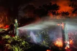 Colombia avanza en control de incendios en el centro del país