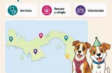 Mapatón Misión Lulú busca poner el bienestar animal de Panamá en el mapa 