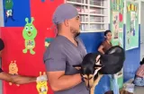 ¡Amor perruno! Atienden 2,000 mascotas en jornadas de esterilización en Colón