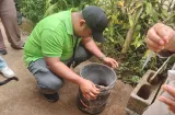Confirman cuarta muerte por dengue en Sabanitas, Colón