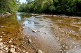Alerta en Coclé por el drástico descenso en el caudal del río Chico