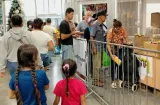 ¡Al rescate del campo! El IMA comprará mil cerdos por sobreproducción