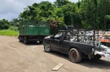 Los pillaron quemando basura en un manglar y les meten multa de B/.15,100