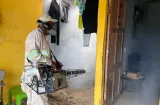 ¡Guerra al dengue! Minsa peina más de mil casas en Colón