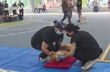 Atienden a más de 200 mascotas en Barrio Norte de Colón