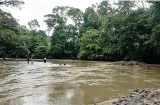 Buscan a adulto mayor desaparecido en río de Soná; el tercero en 48 horas