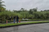 Hallan cuerpo baleado en un herbazal de Cativá tras escucharse disparos