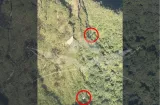 Hallan sin vida a los 5 ocupantes del avión accidentado en Colombia