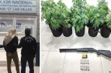 Colombiano tenía cultivo de marihuana y arsenal para defender el negocio
