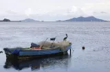 Panamá reúne a científicos para estudiar el futuro de los océanos