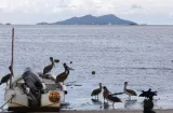 Panamá reúne tecnología y ciencia para descifrar el futuro de los océanos
