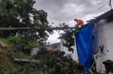 Tormenta y caída de árboles dejan estragos en las afueras Colón