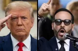 Trump al Tigre: "Me gusta este tipo, cumple tu promesa, no salgas del país"