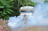 Dengue disminuye en Panamá, pero deja 19 defunciones