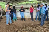 Estudiantes de Ciencias Agropecuarias aplican técnicas en fincas de Colón
