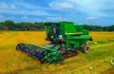 MIDA destina $8.2 millones para apoyar a productores afectados por el clima