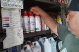 Inspeccionan venta de agroinsumos en Santa Isabel, Colón