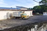 Suspenden sacrificio de ganado y cerdos en matadero de La Chorrera