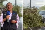 ¡Brutal! Reportera y camarógrafo son arrollados en vivo en Monterrey
