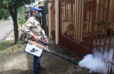 Dengue baja 27.3%, pero Panamá acumula 9,055 casos y 19 muertes