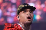 Chris Brown le suelta $9.5 millones a exempleada tras ataque de su perro
