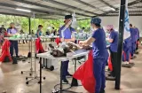 Prevención: Esterilizan a cerca de 1,000 perros y gatos en Las Tablas