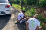 Cinco aprehendidos por robo en La Chorrera