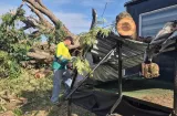 Sin víctimas: Árbol centenario aplasta dos comercios en Chitré