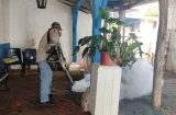 ¡Duro golpe al mosquito! Casos de dengue caen 84% en Los Santos