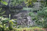 Buscan recuperar y proteger el Lago de Los Andes en San Miguelito